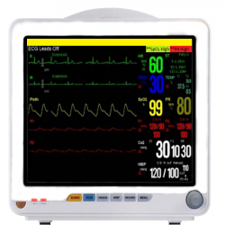 B100 Electronic Temperature Monitor